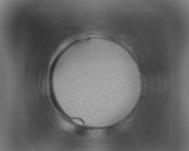 X0000081310102200702082120