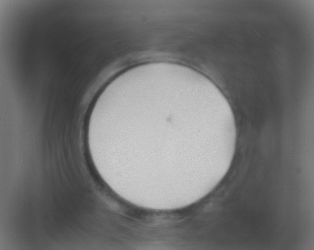 X0000081310103200702082120