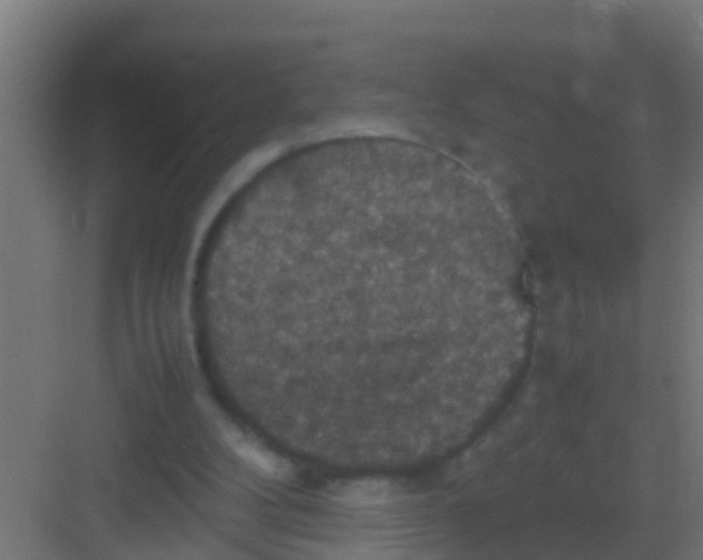 X0000081310104200702082120