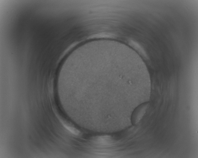 X0000081310108200702082120