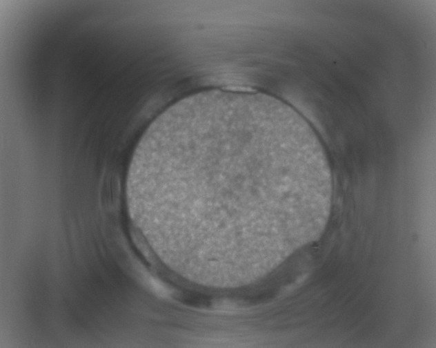 X0000081310109200702082120