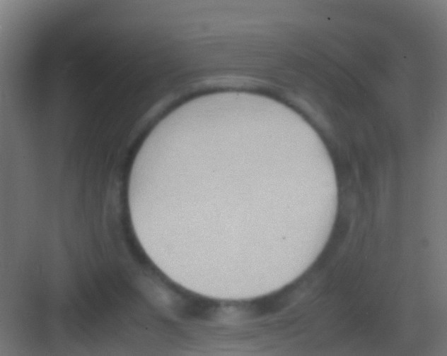 X0000081310111200702082120