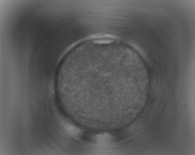 X0000081310112200702082120