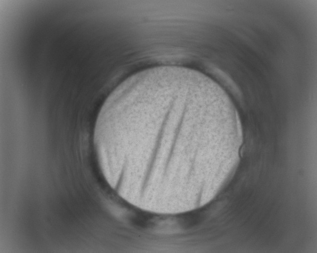 X0000081310113200702082120