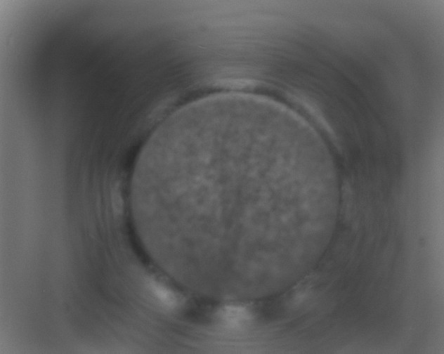 X0000081310114200702082120