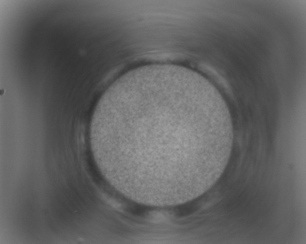 X0000081310115200702082120