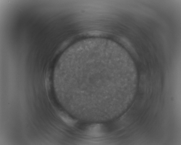 X0000081310116200702082120