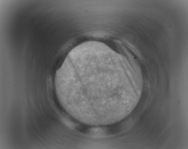 X0000081310117200702082120