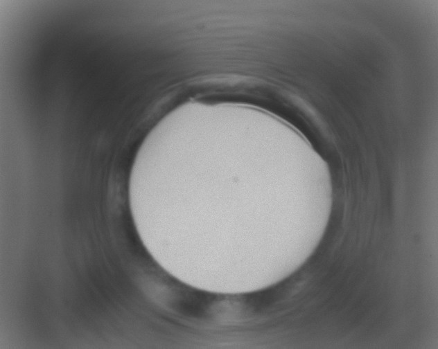 X0000081310119200702082120