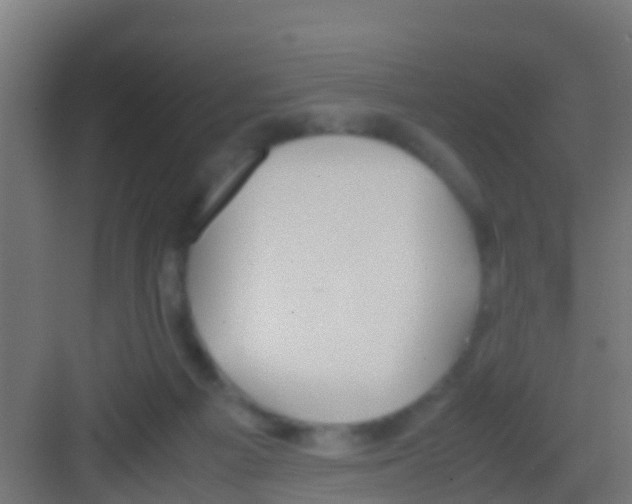 X0000081310121200702082120