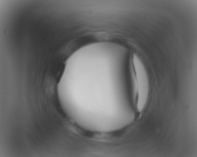 X0000081310125200702082120