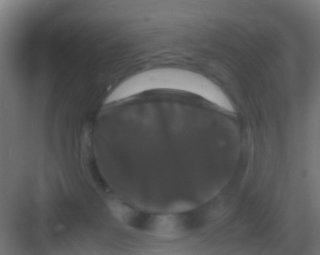 X0000081310127200702082120