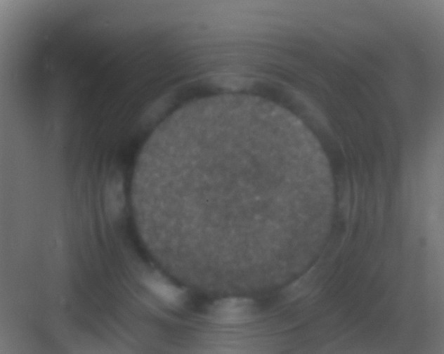 X0000081310128200702082120