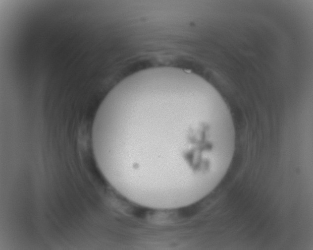 X0000081310129200702082120