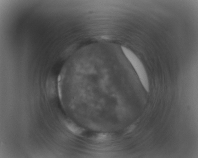 X0000081310130200702082120