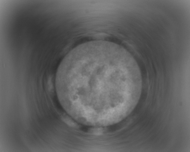 X0000081310131200702082120