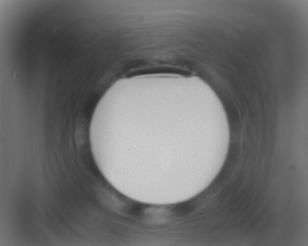 X0000081310133200702082120