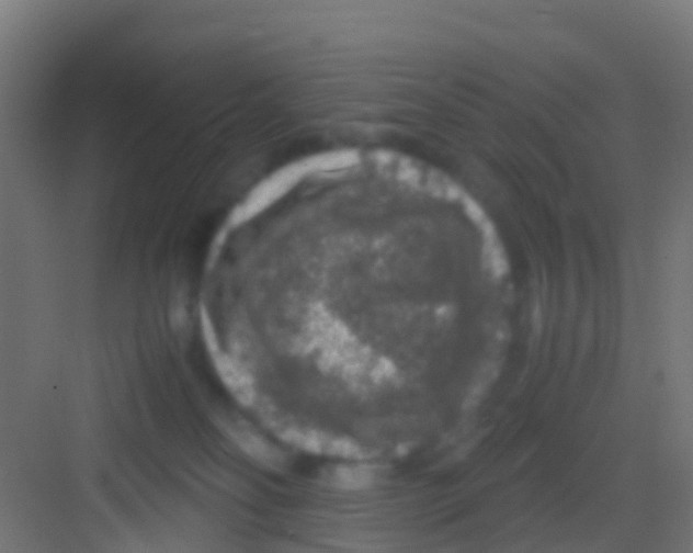 X0000081310134200702082120