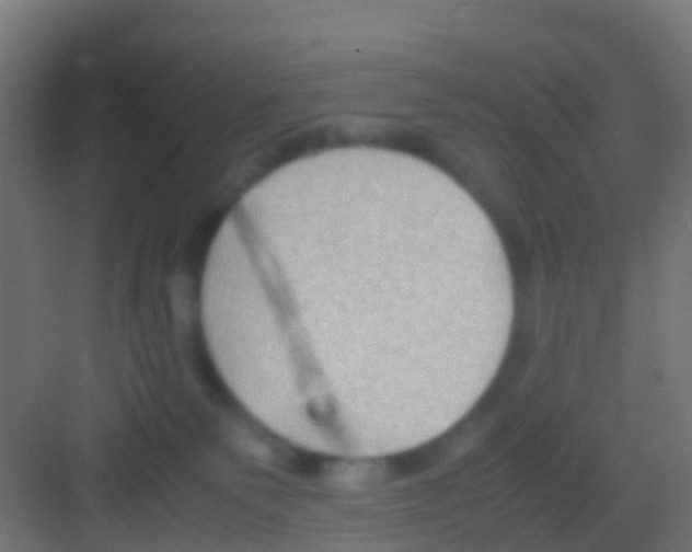 X0000081310135200702082120