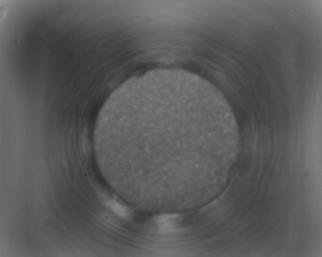 X0000081310136200702082120