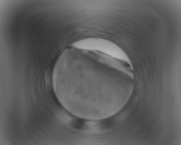 X0000081310139200702082120