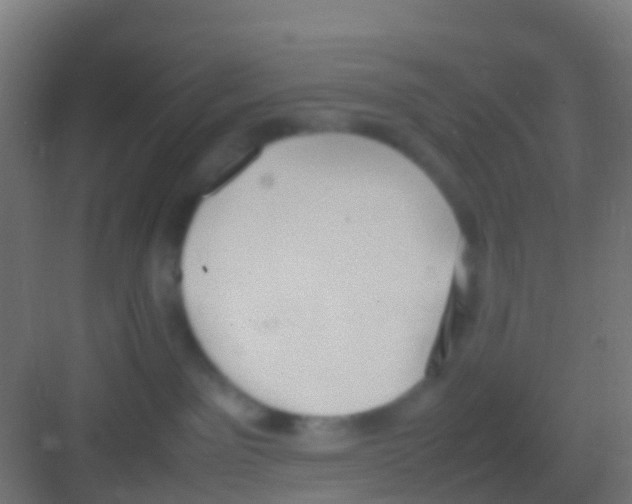 X0000081310141200702082120