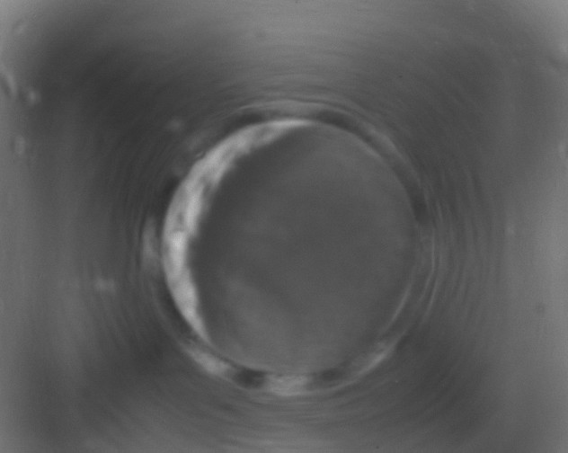 X0000081310143200702082120