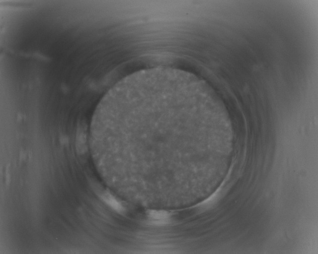 X0000081310144200702082120