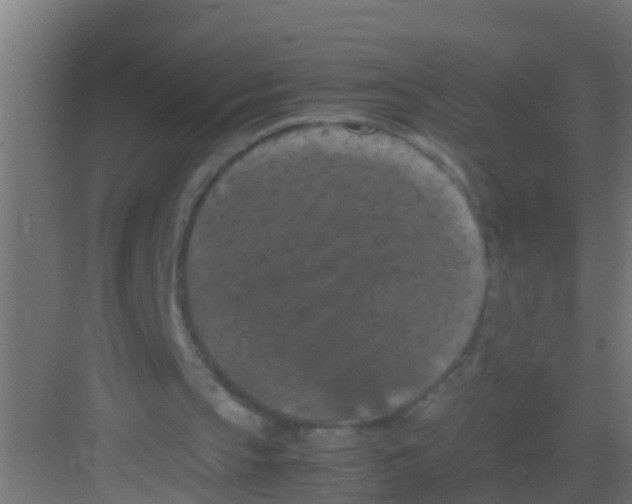 X0000081310145200702082119