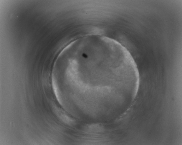 X0000081310146200702082119