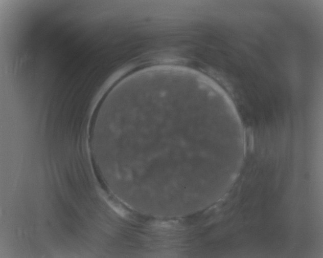 X0000081310147200702082119