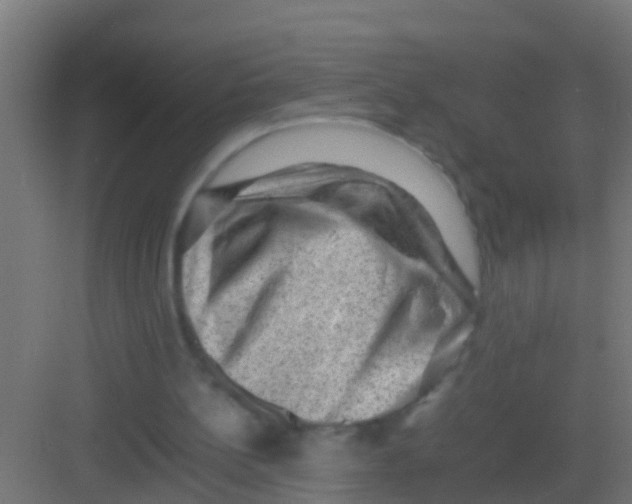 X0000081310148200702082119