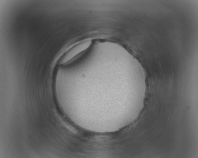 X0000081310150200702082119