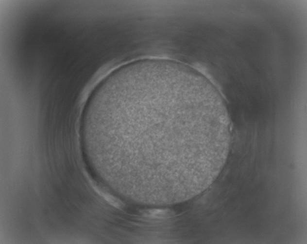 X0000081310151200702082119