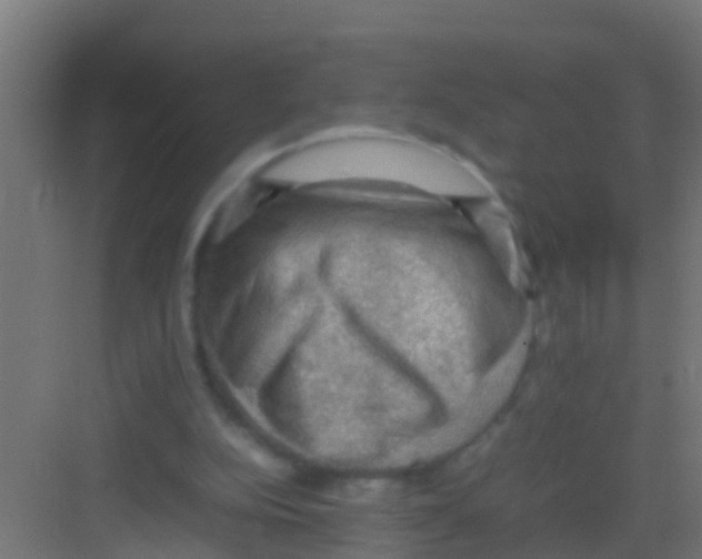 X0000081310152200702082119