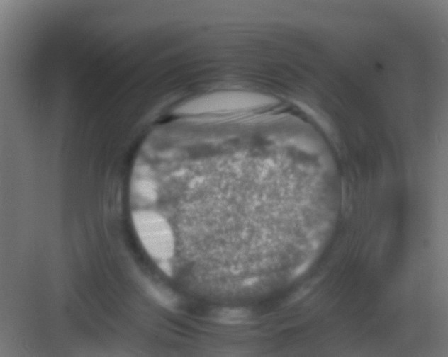 X0000081310157200702082119