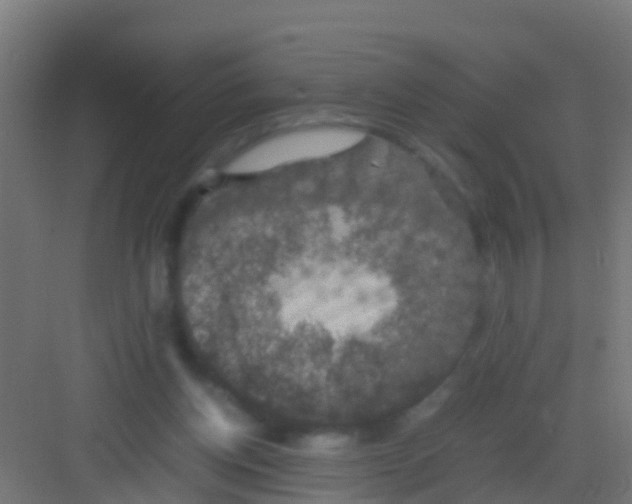 X0000081310158200702082119