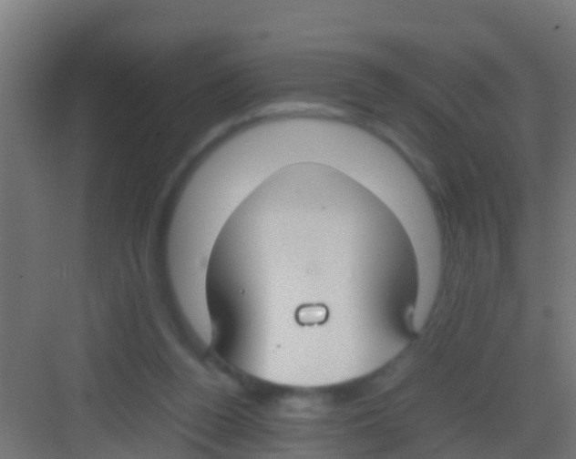 X0000081310160200702082119