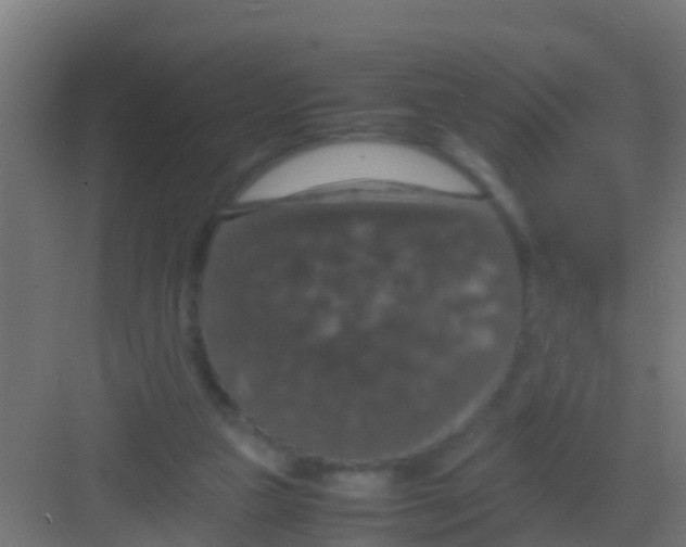 X0000081310161200702082119