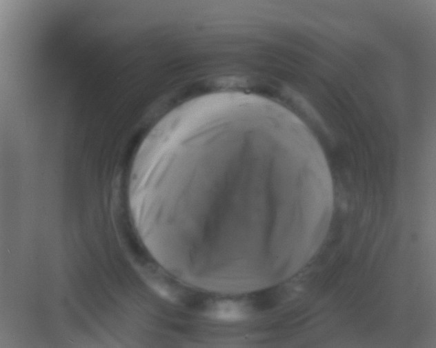 X0000081310163200702082119