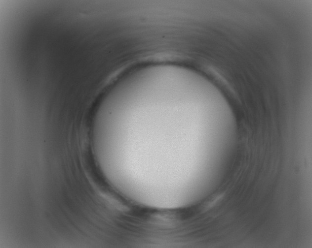 X0000081310164200702082119