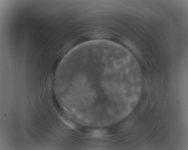 X0000081310165200702082119