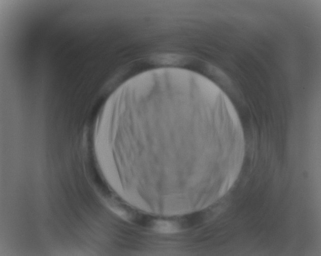 X0000081310167200702082119