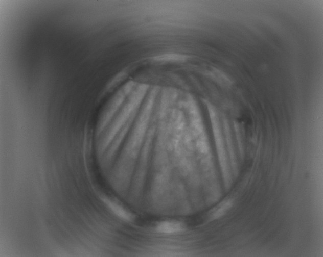 X0000081310168200702082119