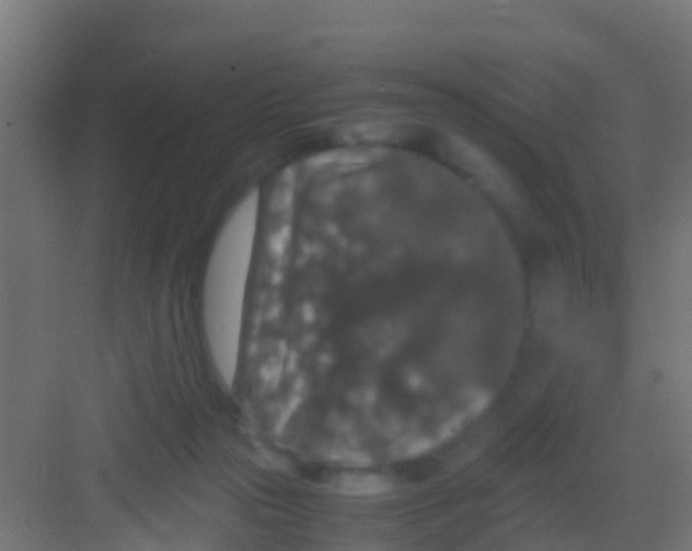 X0000081310169200702082119