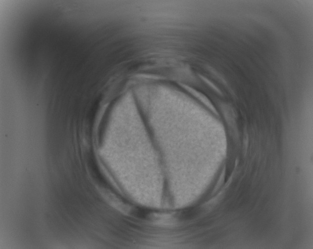 X0000081310170200702082119