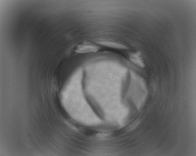 X0000081310172200702082119