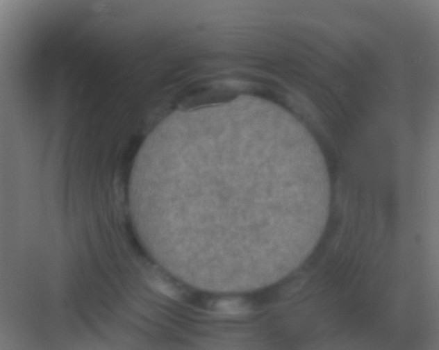 X0000081310173200702082119