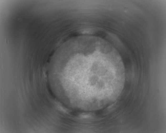 X0000081310175200702082119