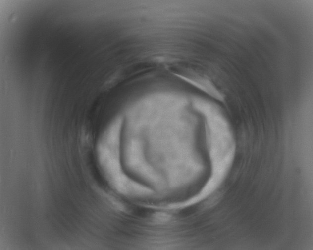 X0000081310176200702082119